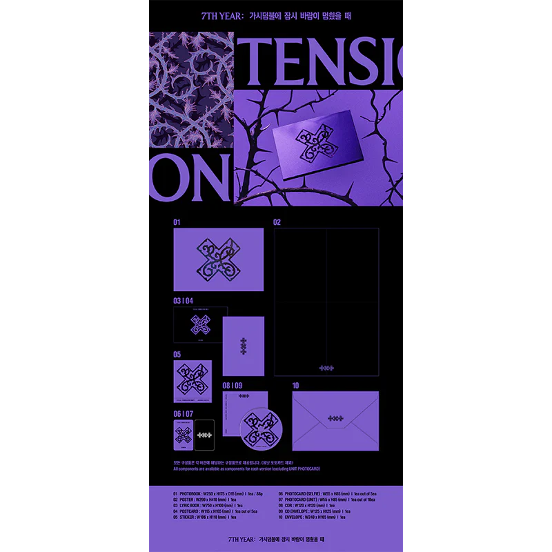7TH YEAR: A Moment of Stillness in the Thorns (TENSION Version CD) - Image 2