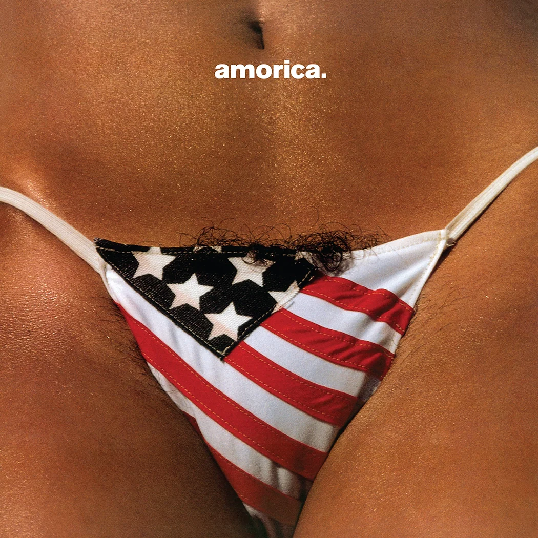 Amorica (2LP) - Image 2