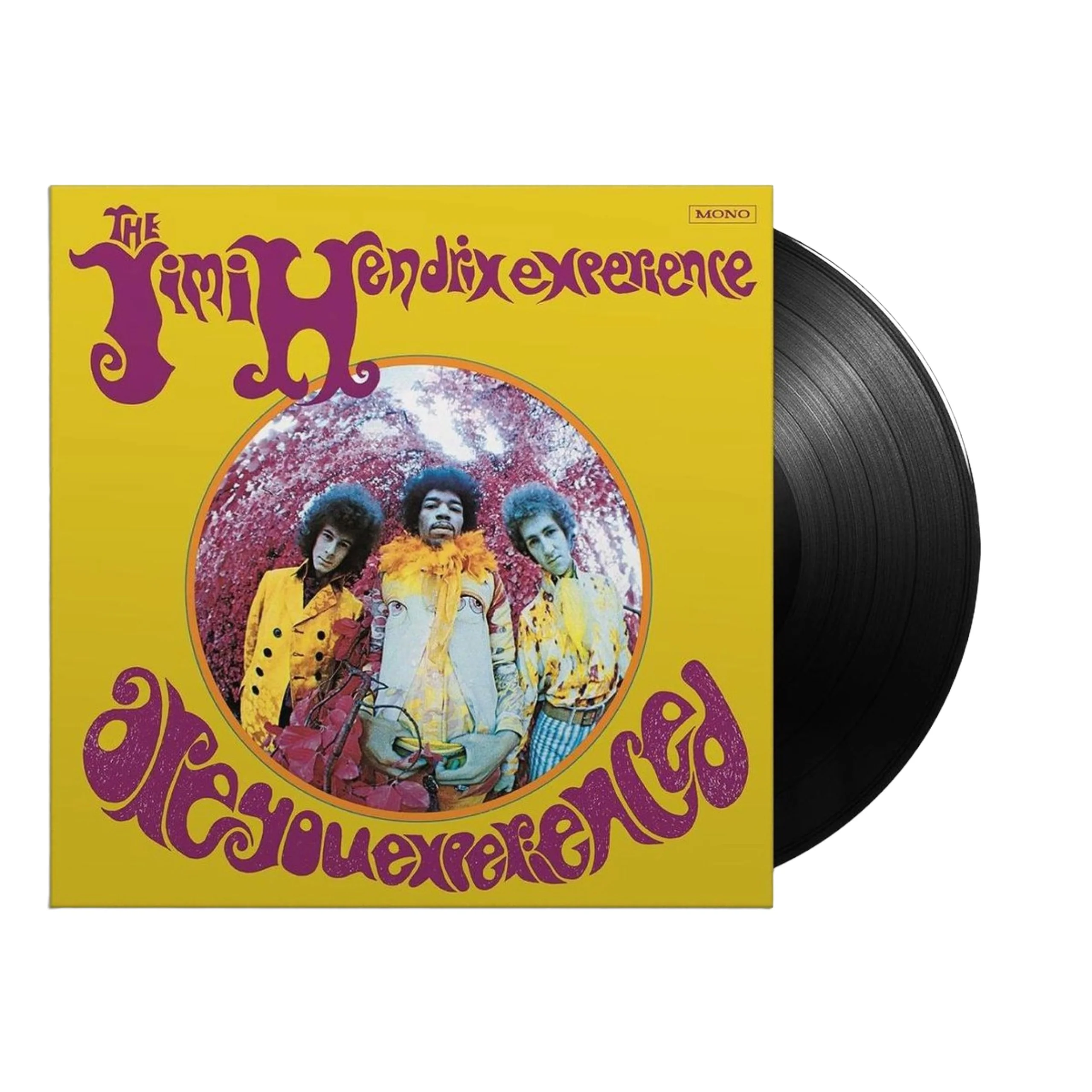 Are You Experienced (LP)