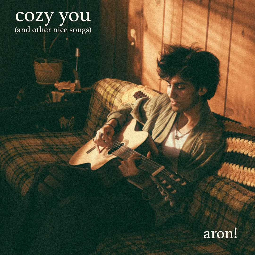 cozy you (and other nice songs) (LP) - Image 2