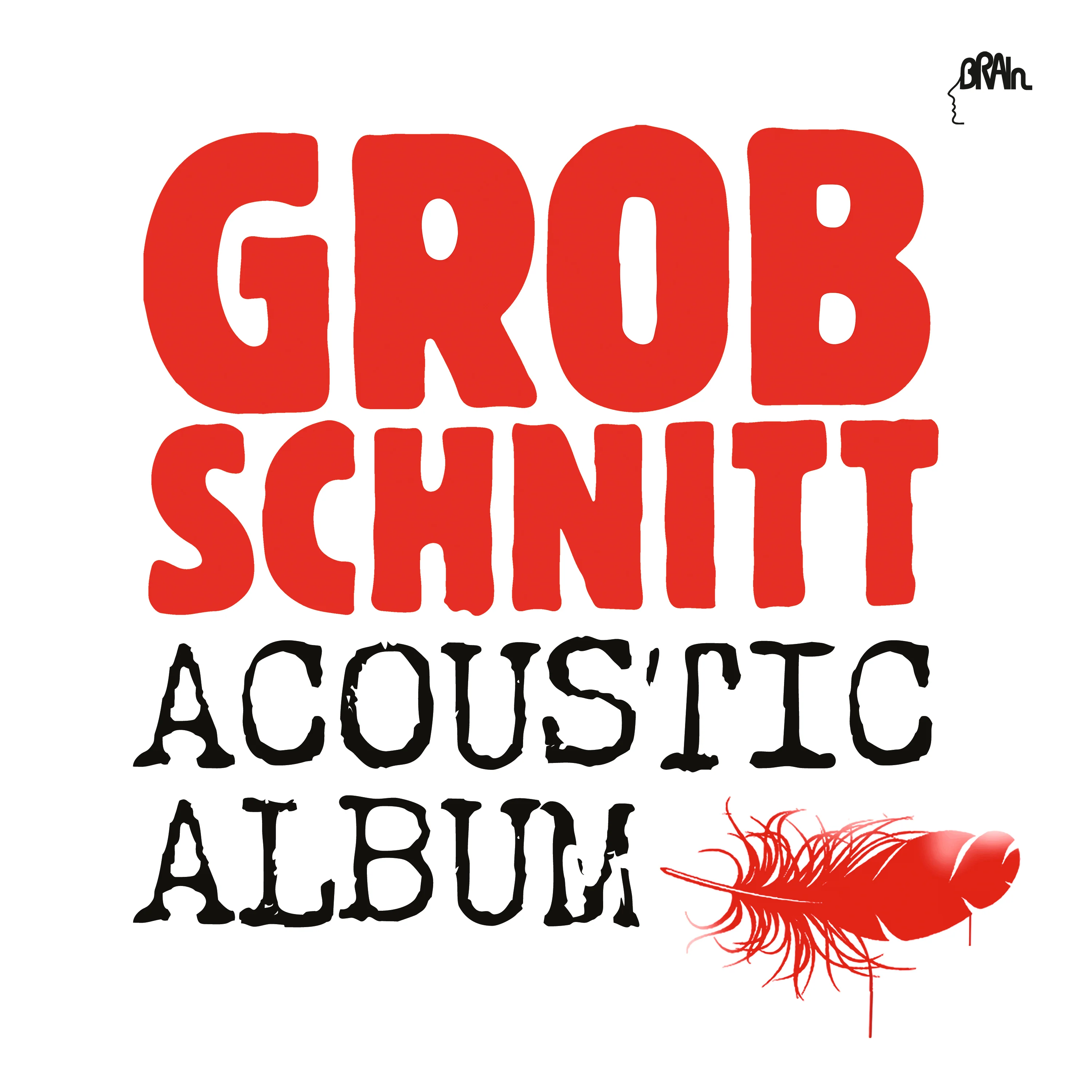 Acoustic Album (2LP)