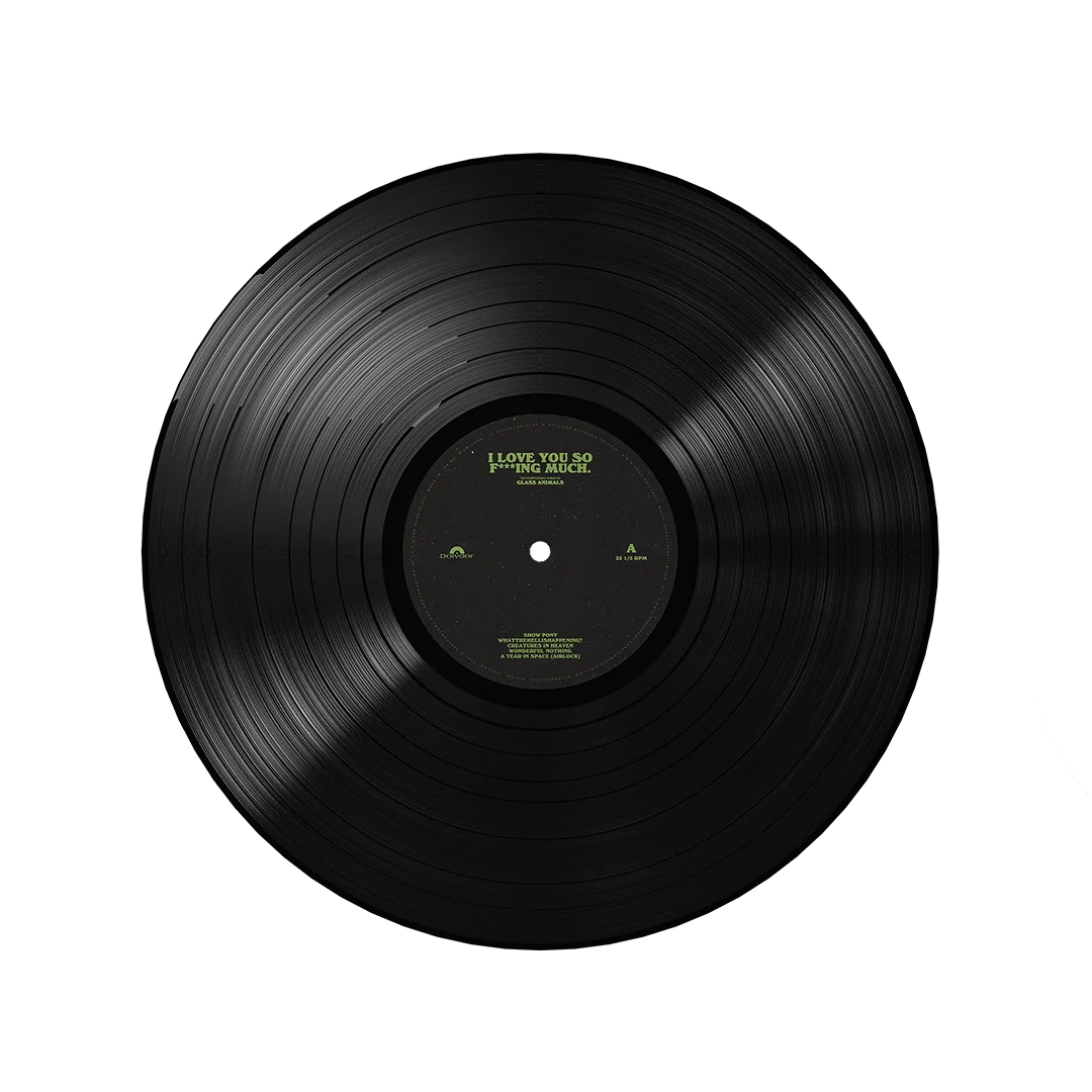 I Love You So F***ing Much Black Vinyl - Image 2
