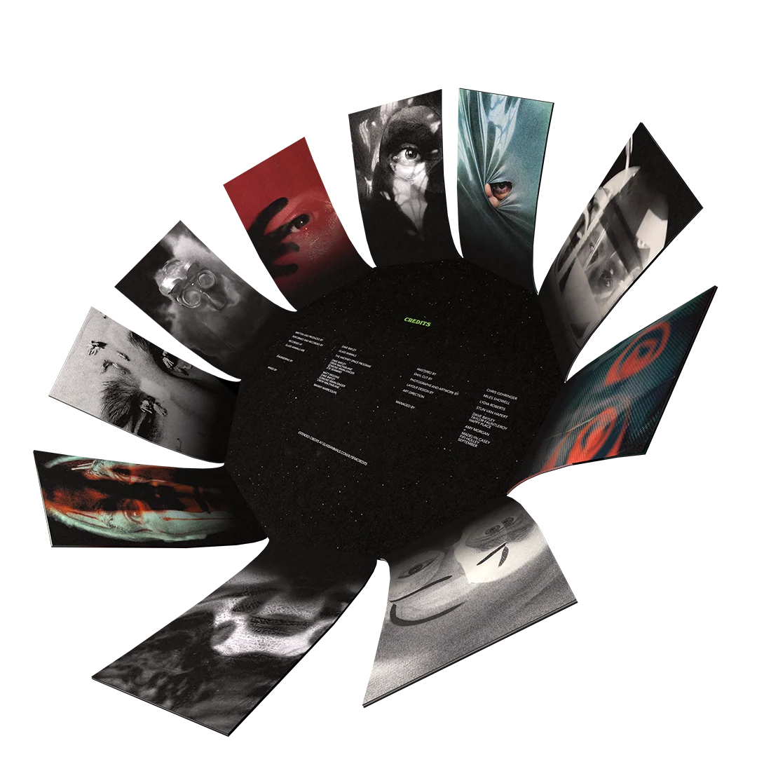 I Love You So F***ing Much Decagon Vinyl