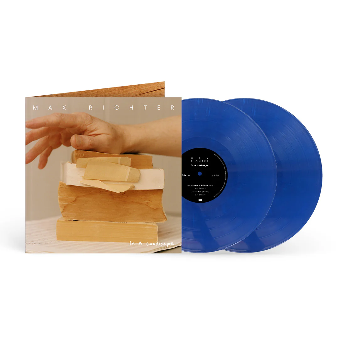 In A Landscape (Blue 2LP)