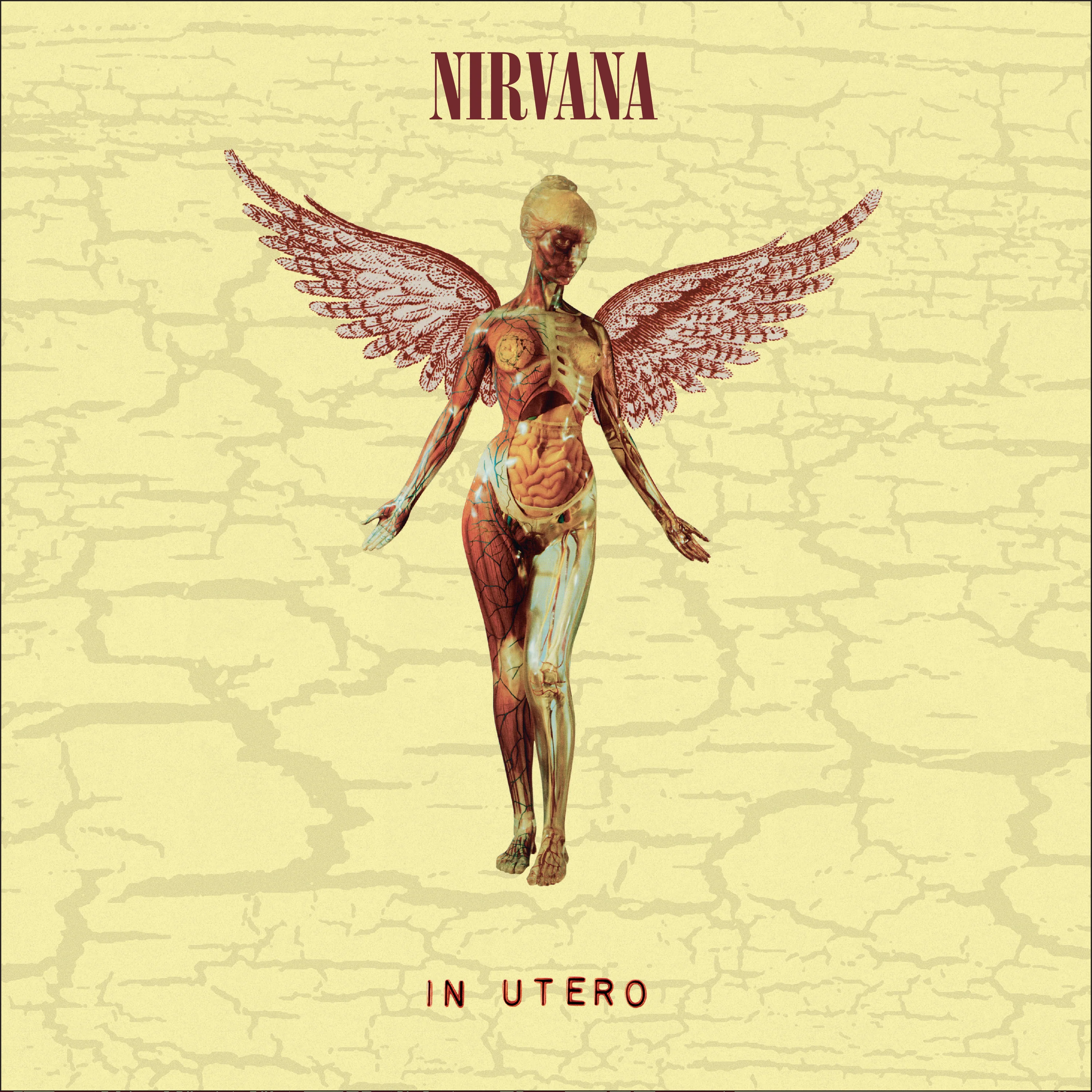 In Utero (30th Anniversary Super Deluxe 8LP) - Image 2