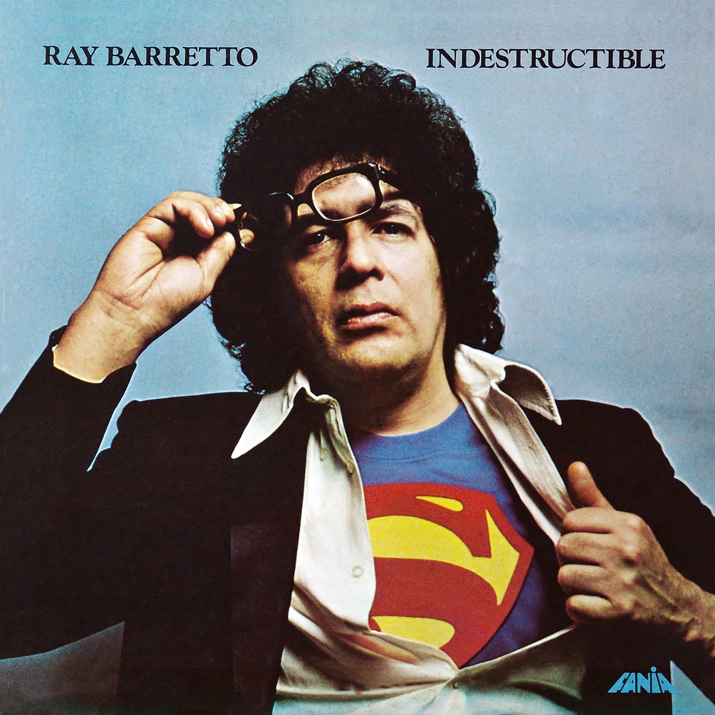 Indestructible (LP) - Image 2