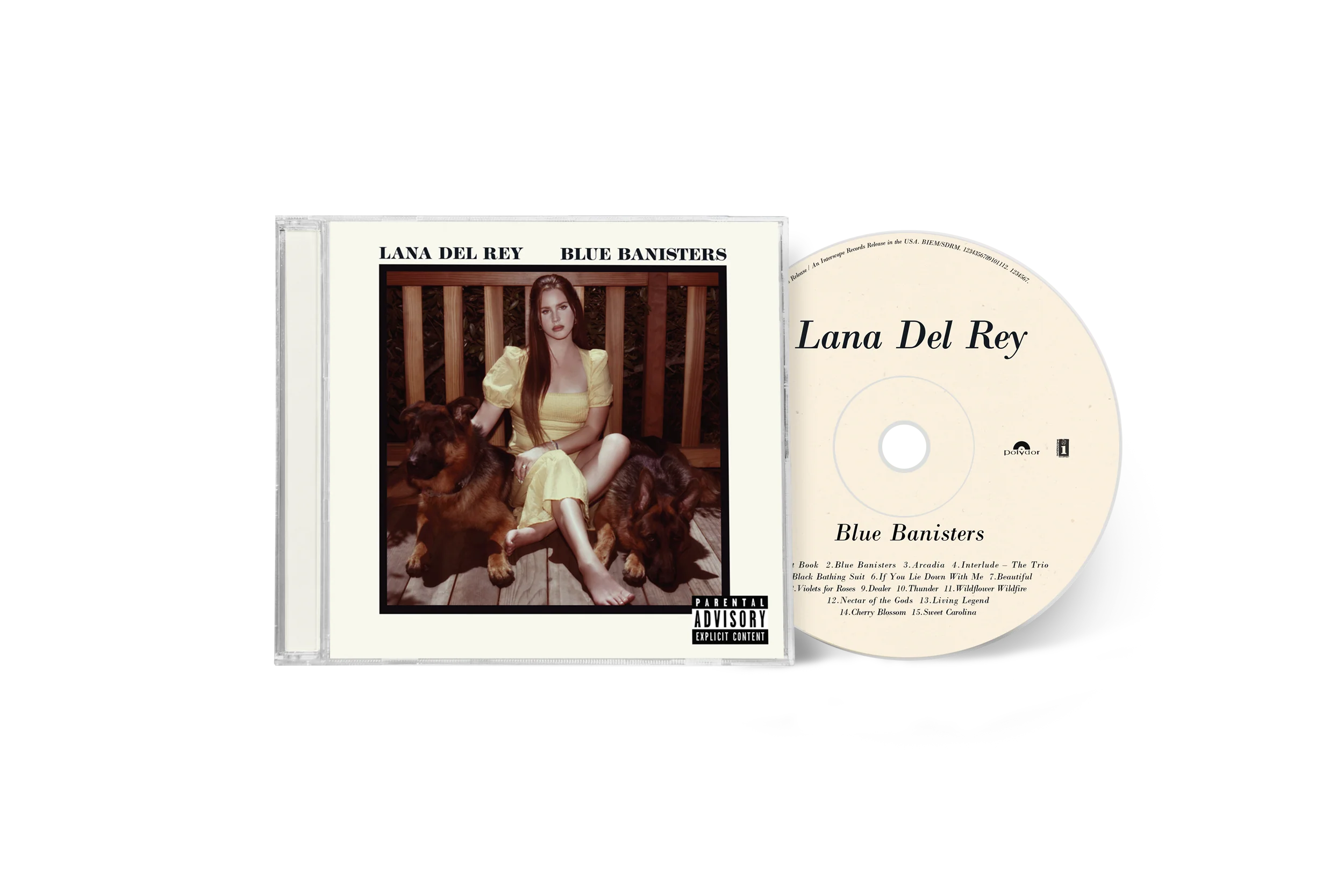 Blue Banisters (CD)