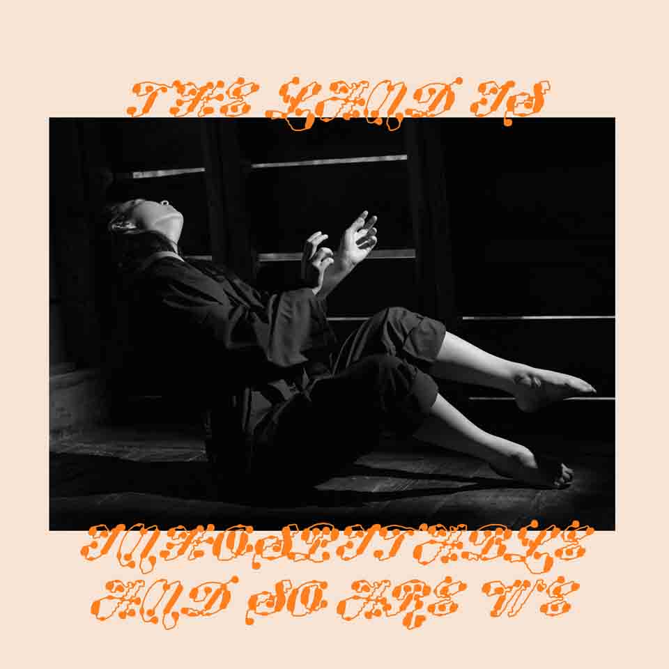 Land Is Inhospitable And So Are We (CD)