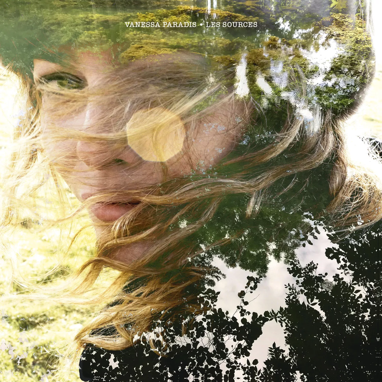Les sources (LP) - Image 2