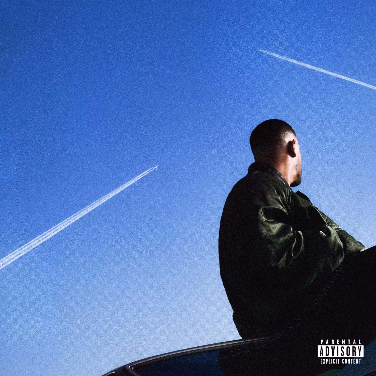 Nomad (Translucent Vinyl) - Image 2
