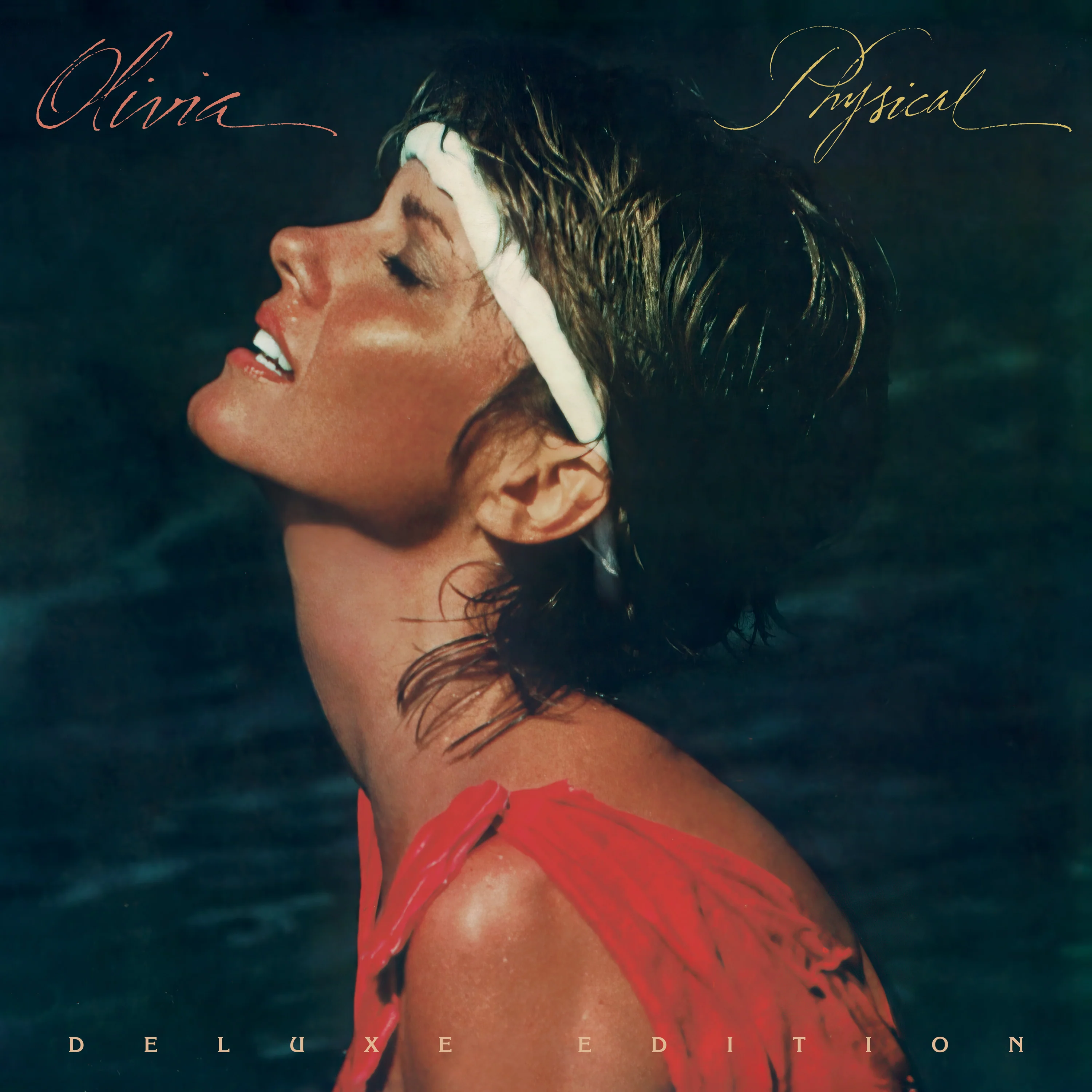 Physical (LP) - Image 2