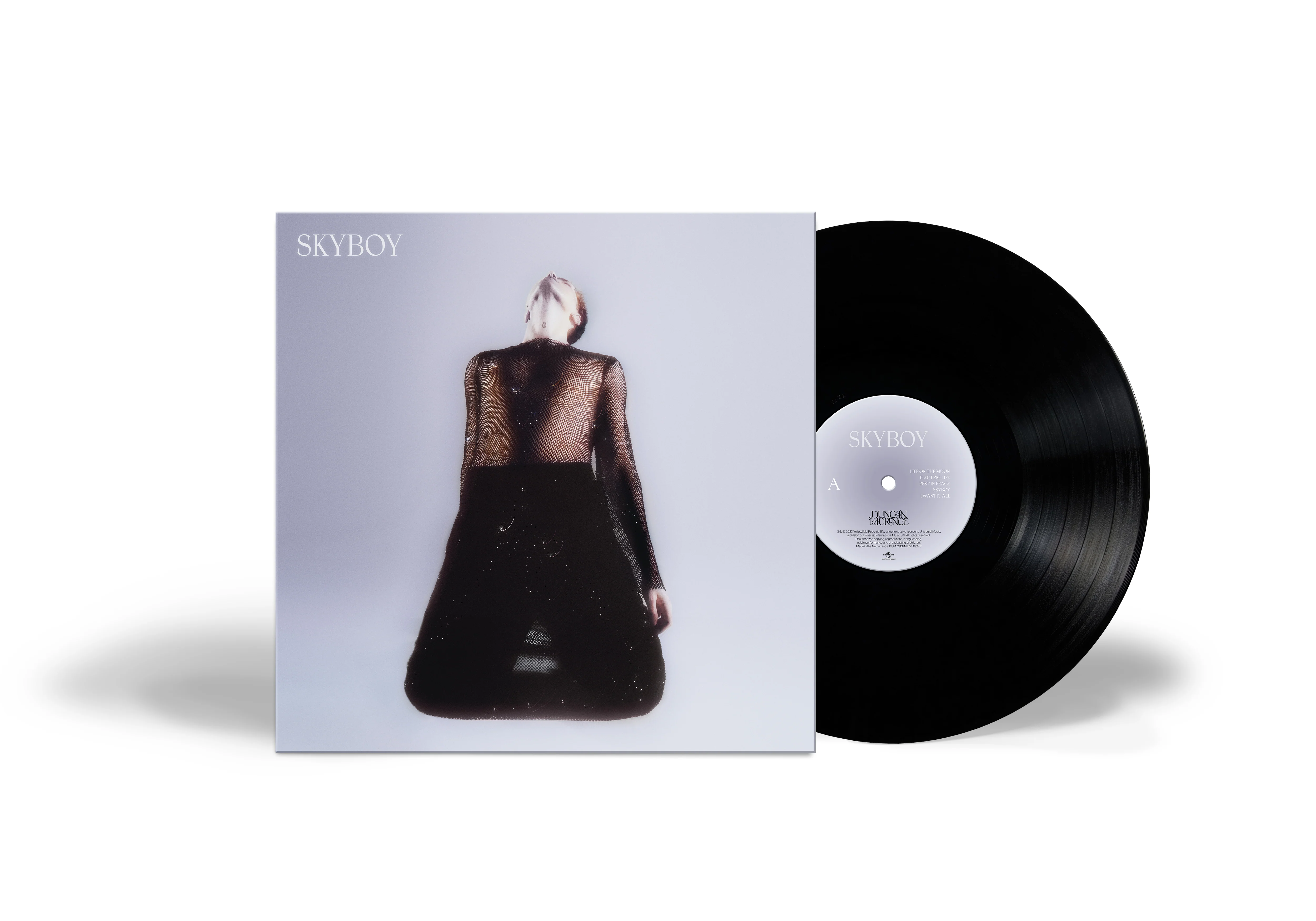 Skyboy (LP)