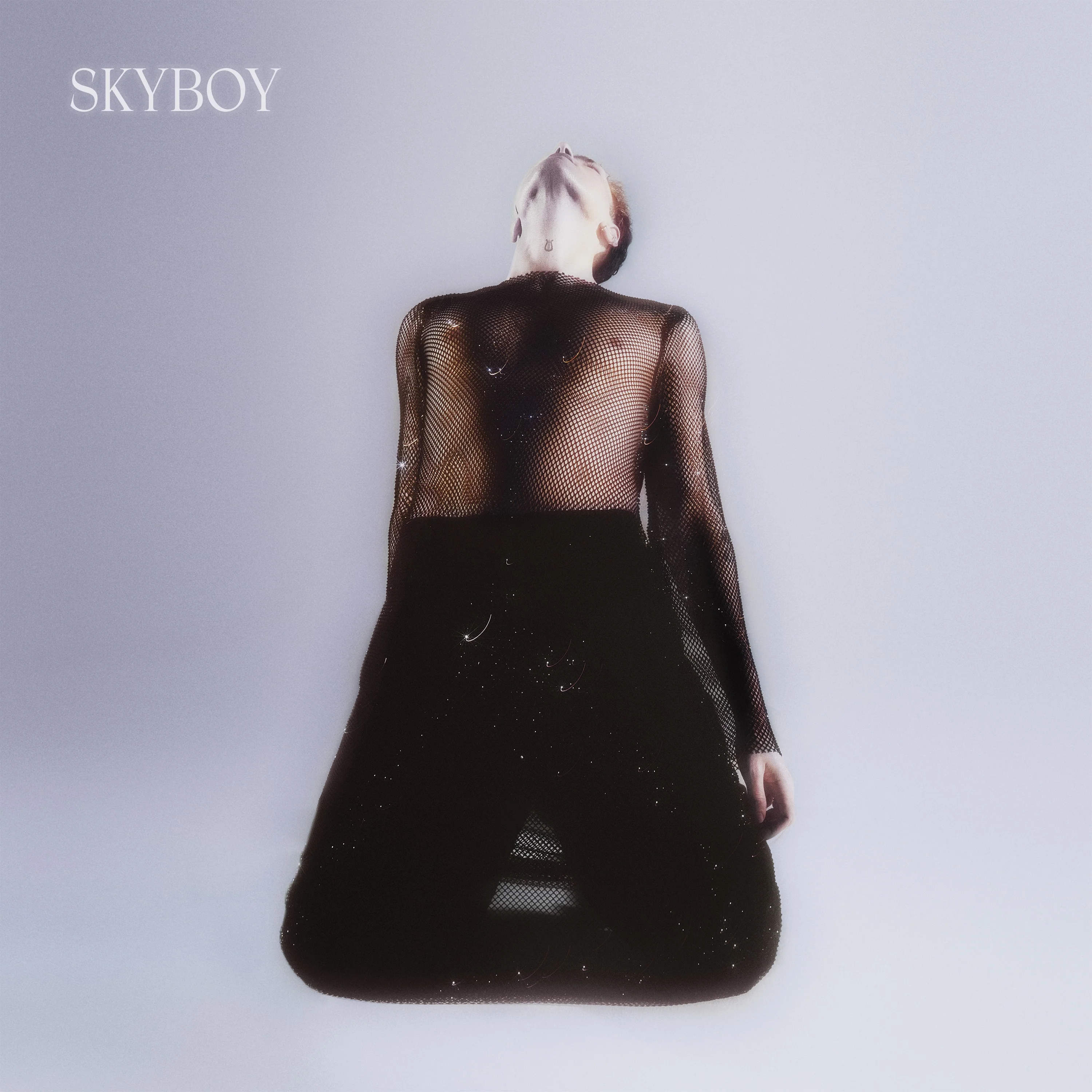 Skyboy (LP) - Image 2