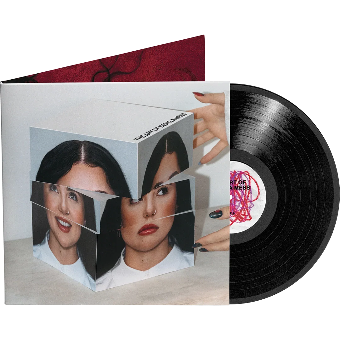 THE ART OF BEING A MESS (LP)
