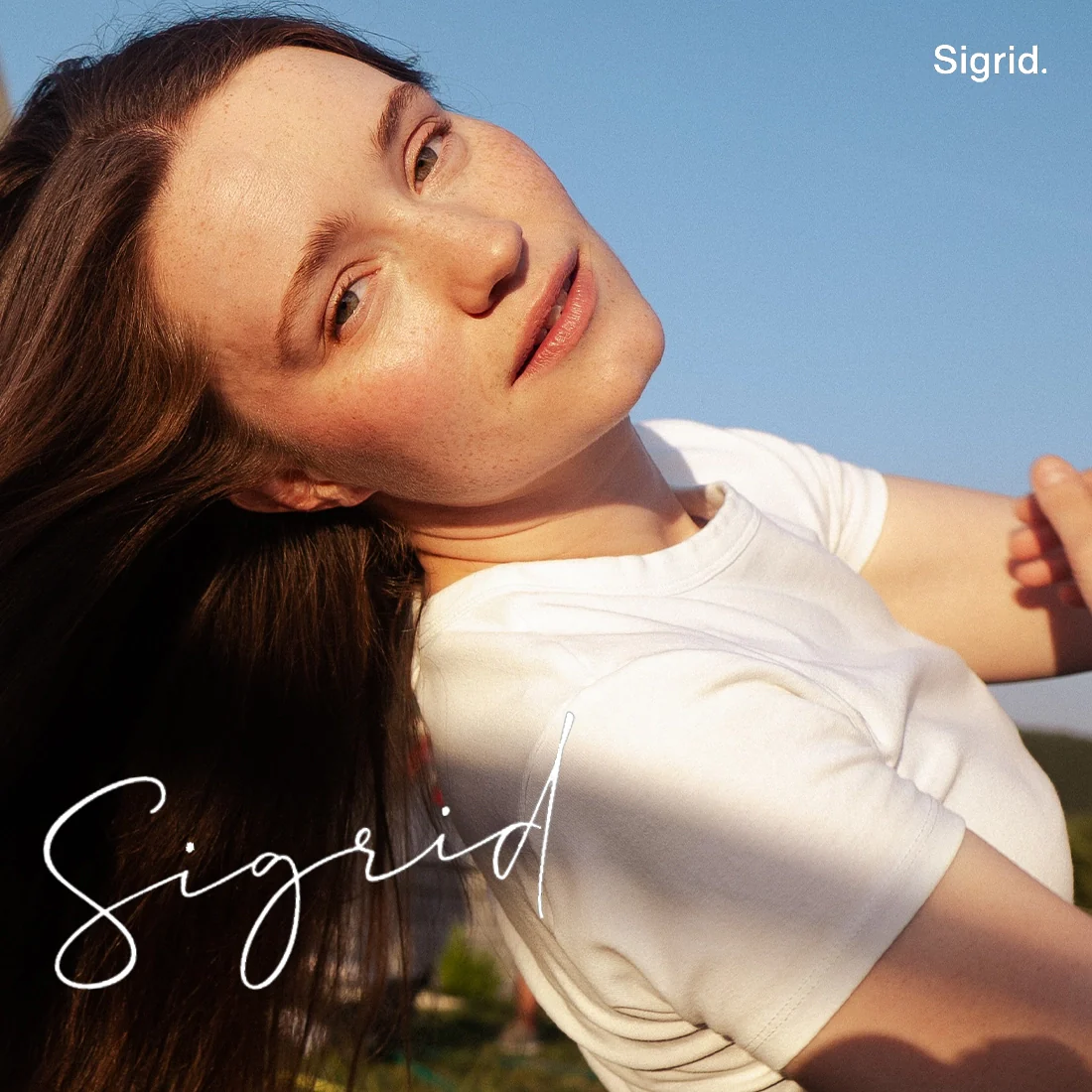 There's Always More That I Could Say - Crystal Clear LP + Signed Art Card - Image 6