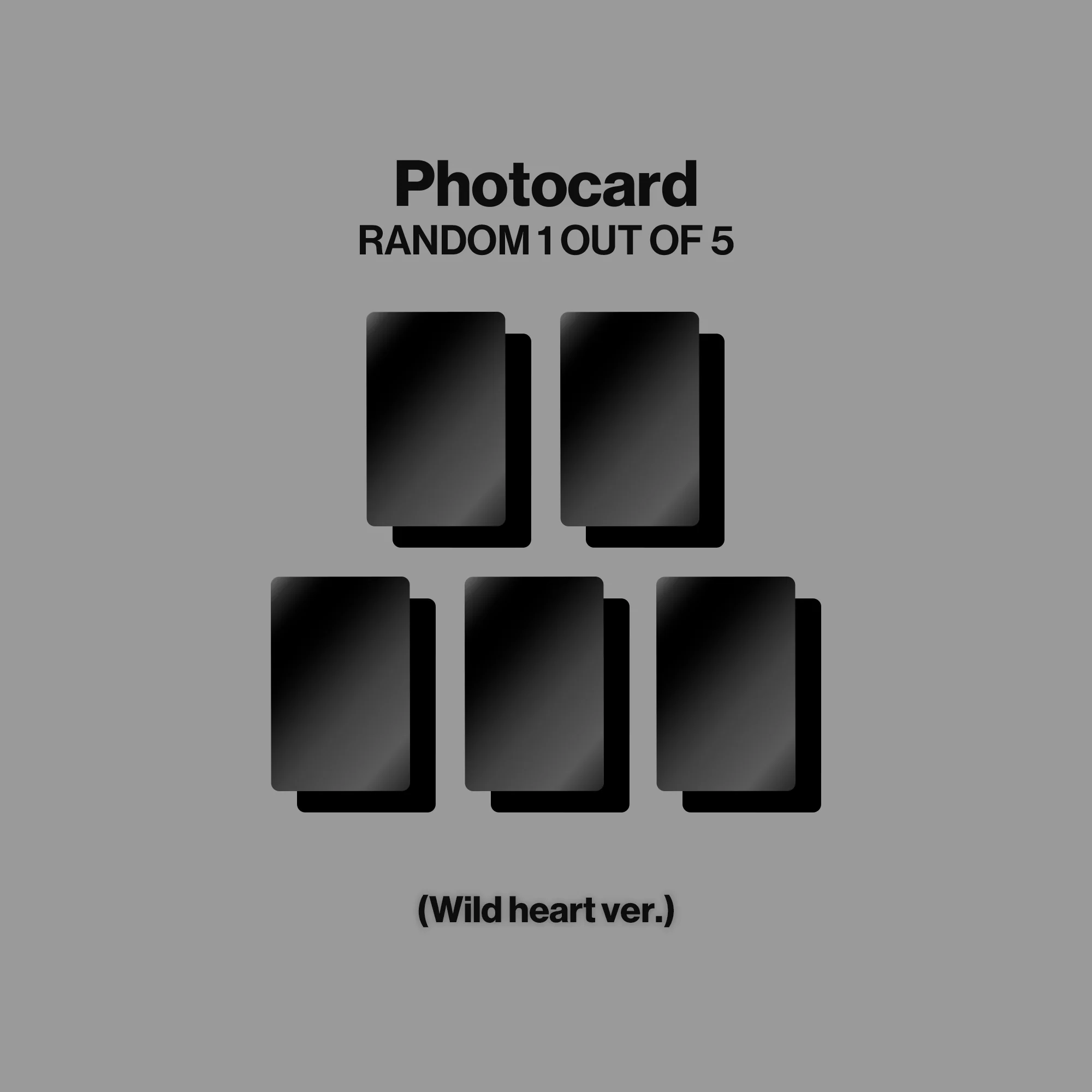 WILD (Wild Heart ver.) - Official Store Exclusive - Image 7